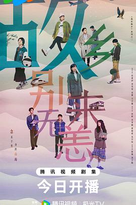 福州晋安seo选哪家